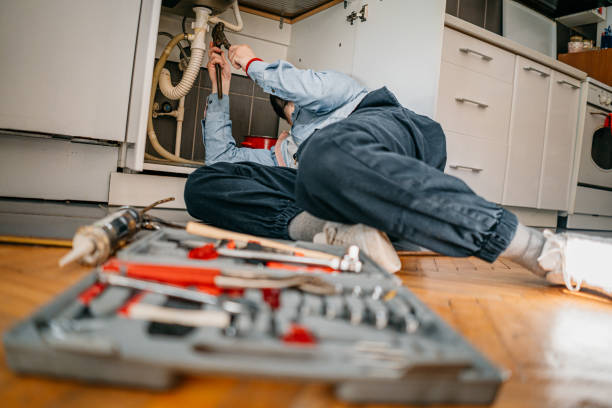  Rosemount, MN Plumbing Pros