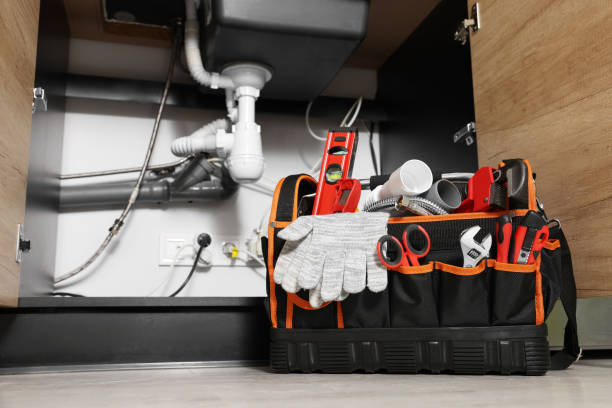 Best Clogged Drain Plumber  in Rosemount, MN