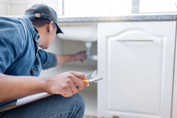 Best Sprinkler Systems  in Rosemount, MN