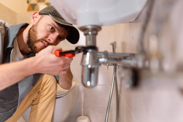 Best Plumbing Inspection Services  in Rosemount, MN